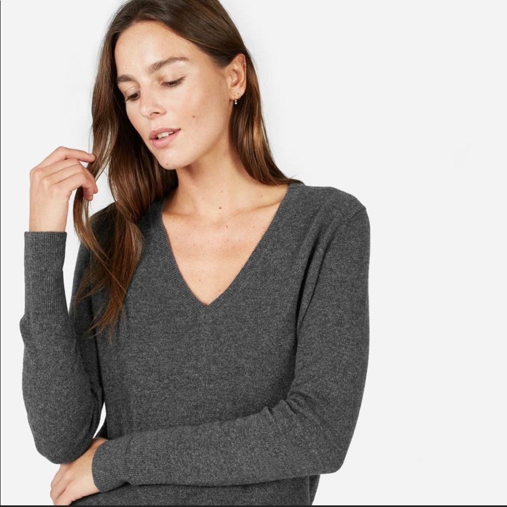 Everlane wool v-neck sweater